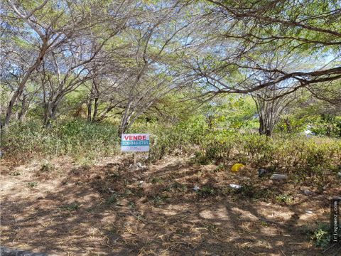 venta de lote caujaral 1005