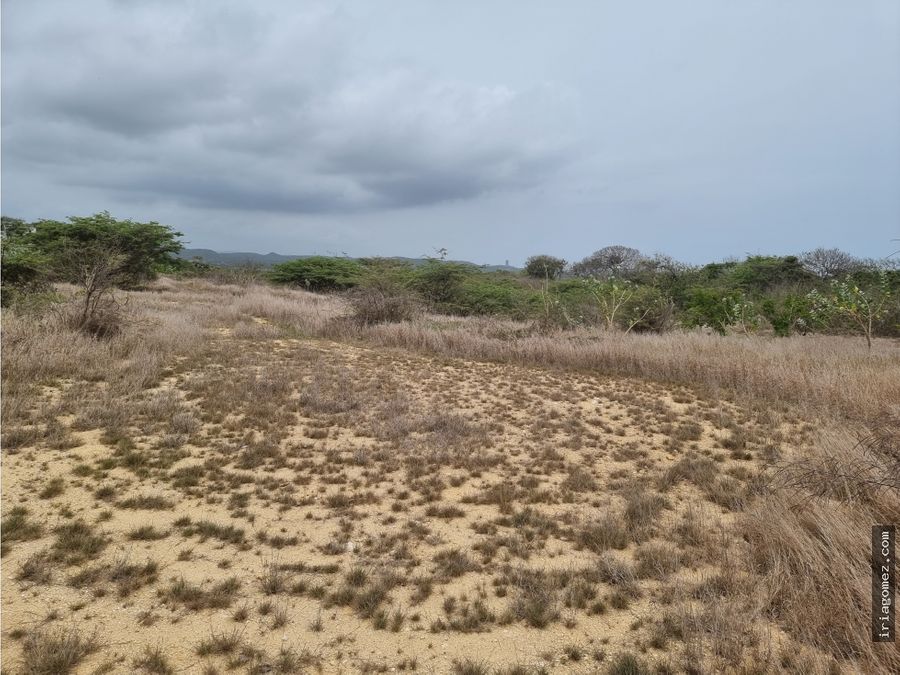 venta de lote en lagos del caujaral